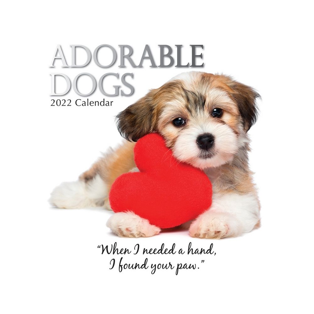 2022 Square Wall Calendar - Animals
