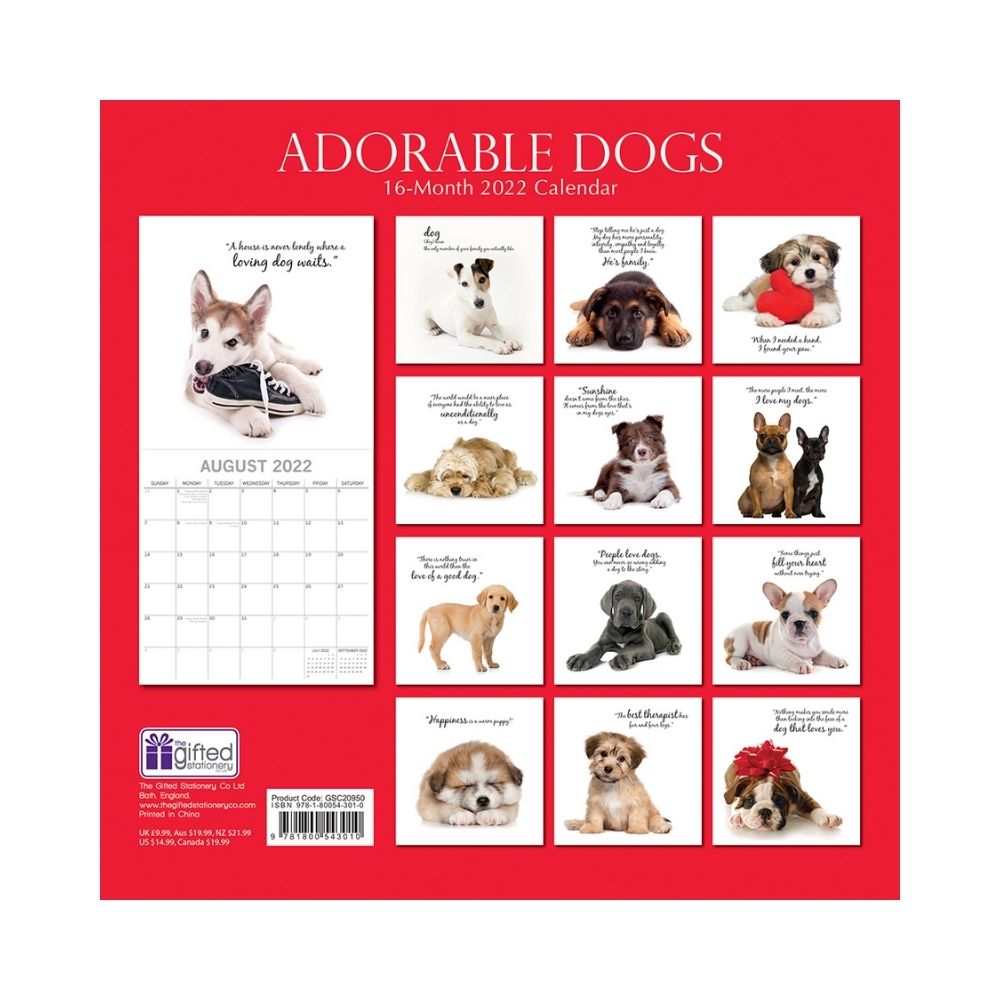 2022 Square Wall Calendar - Animals