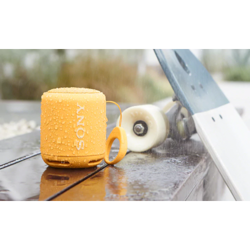 Sony EXTRA BASS Portable BLUETOOTH Speaker (XB10)
