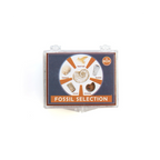 Fossil Selection Box - Assorted