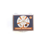 Fossil Selection Box - Assorted