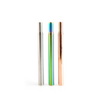 Eco-to-Go Steel Extendable Straw with Cleaning Brush