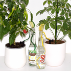 Flow Control Watering System
