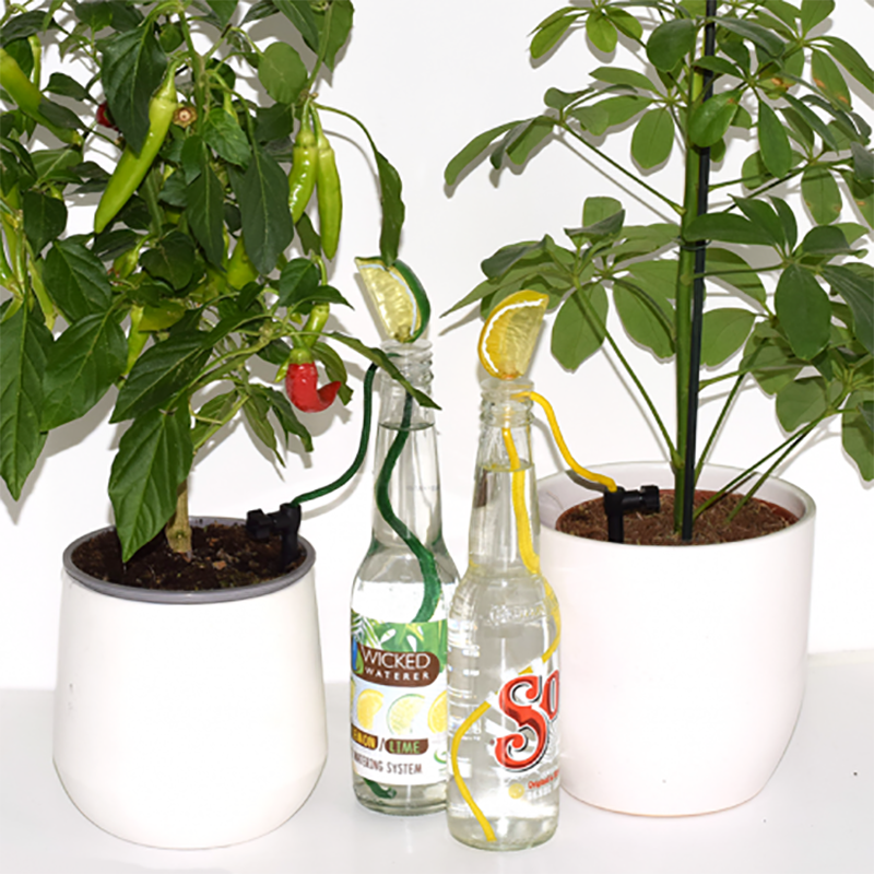 Flow Control Watering System