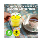 4 Pack x Garden Greens Citronella Scented Candles Cylinder Glass Jars - 120g