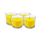 4 x Garden Greens Citronella Scented Candles Cylinder Glass Jars - 120g