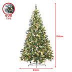 Christabelle 1.5m Pre Lit LED Christmas Tree with Pine Cones