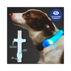 LED Light Up Pet Collar Cover