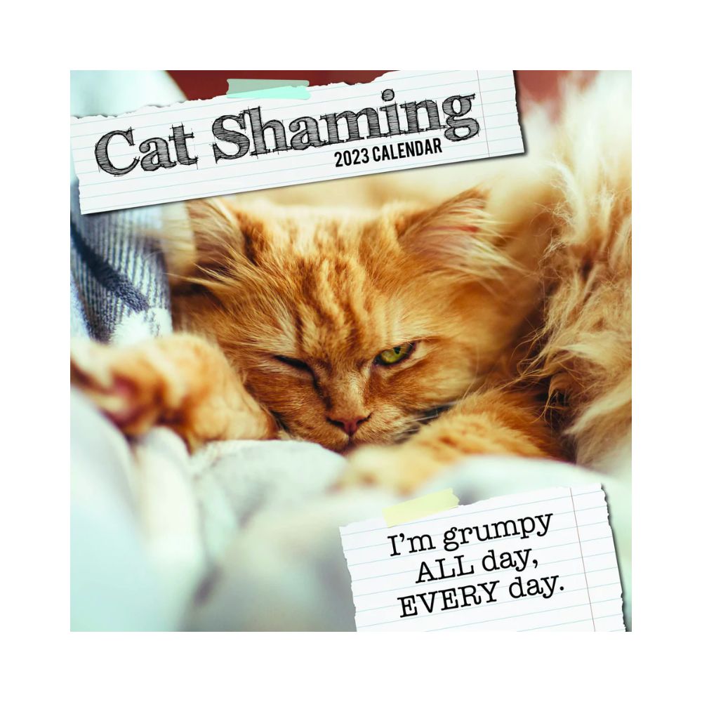 2023 Square Wall Calendar - Animals