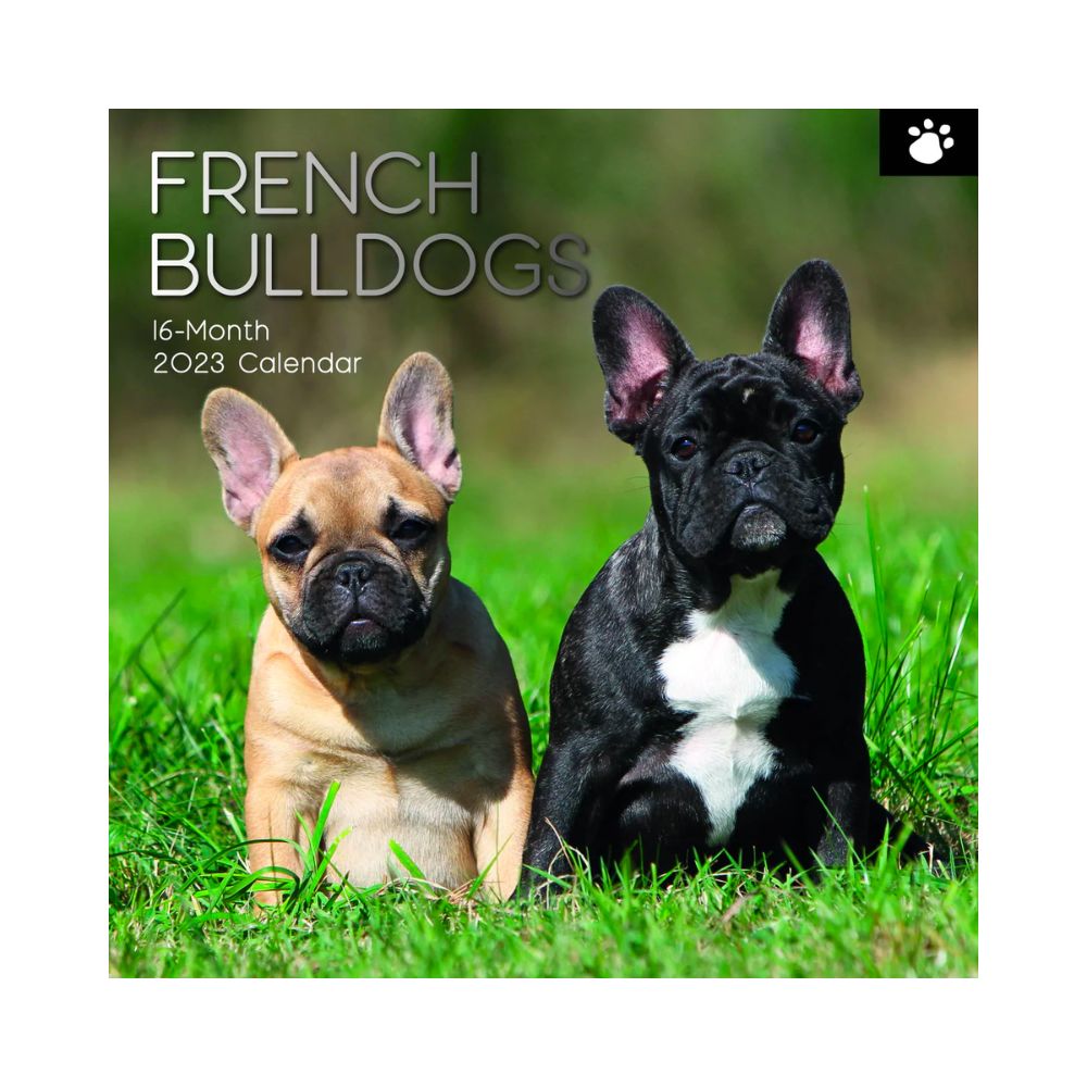 2023 Square Wall Calendar Animals - Dogs