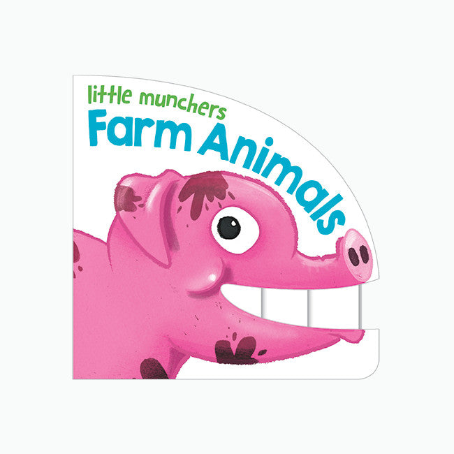 Little Munchers Books Asst