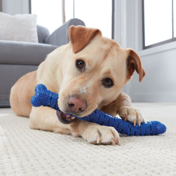 Chewbrush - Dog Toy