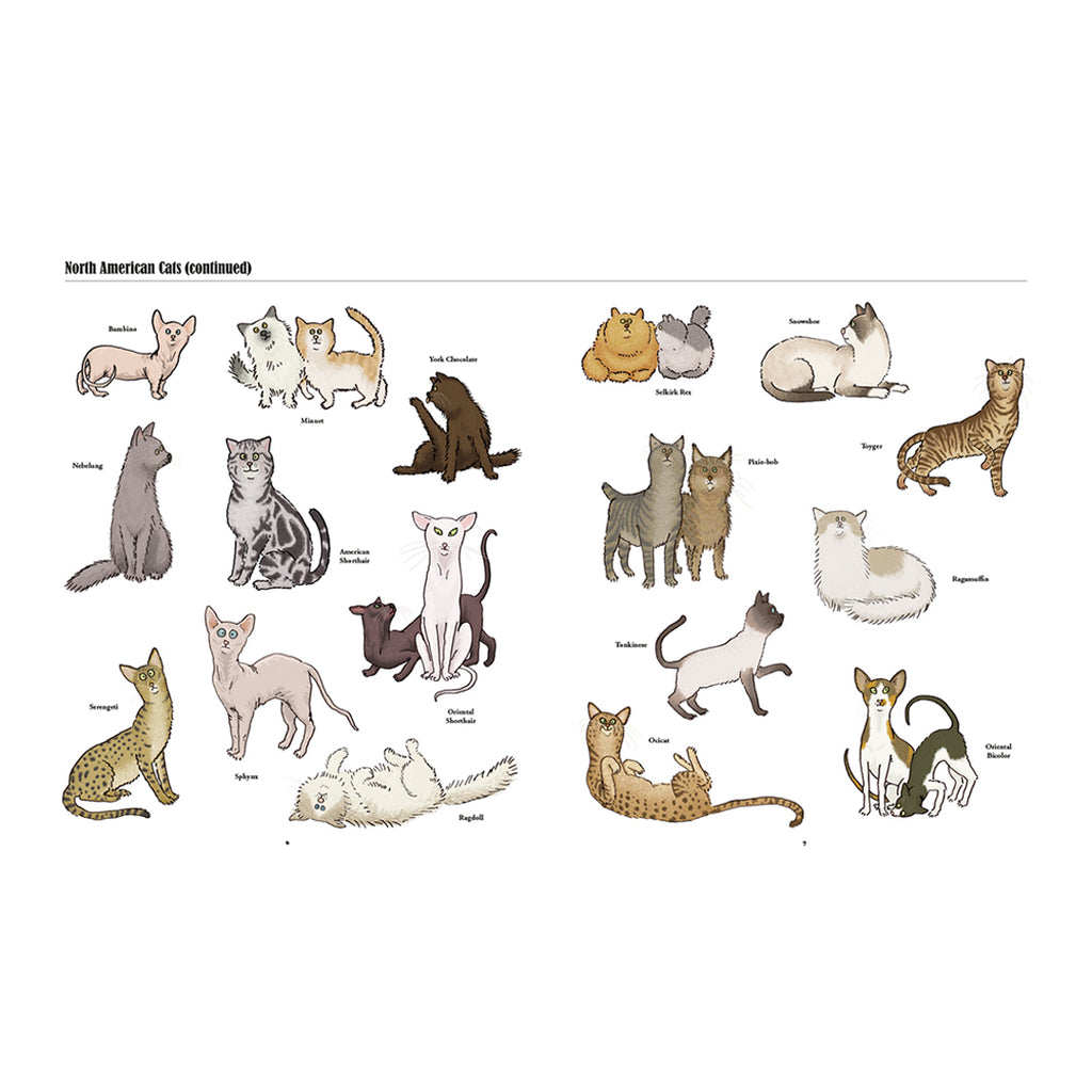 Big Cats, Little Cats: A Visual Guide to the World's Cats