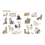 Big Cats, Little Cats: A Visual Guide to the World's Cats
