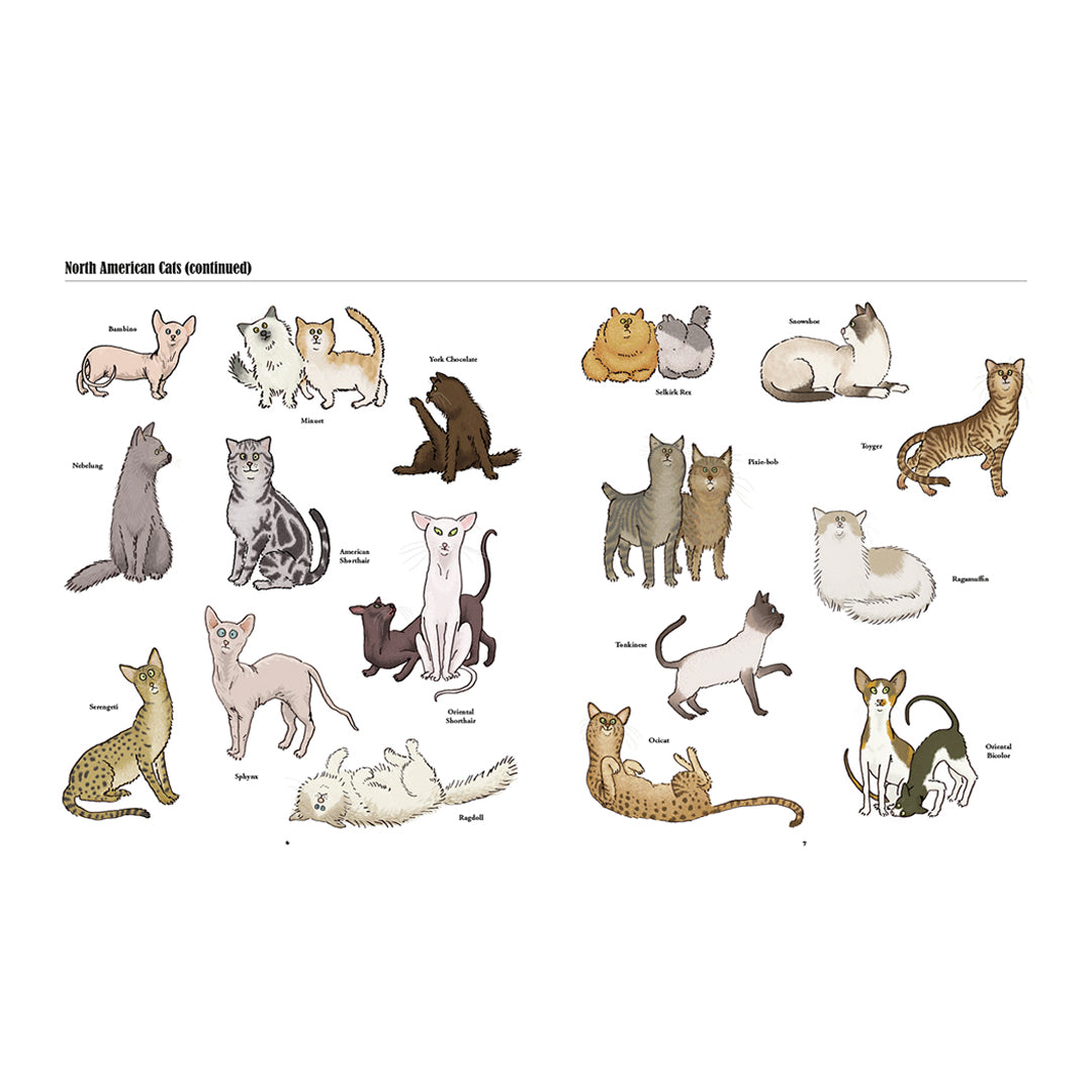 Big Cats, Little Cats: A Visual Guide to the World's Cats
