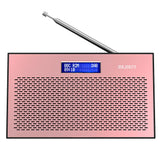 Majority Histon Compact DAB & FM Radio-Rose