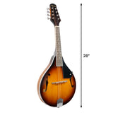 Karrera Traditional Mandolin - Sunburst