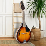 Karrera Traditional Mandolin - Sunburst