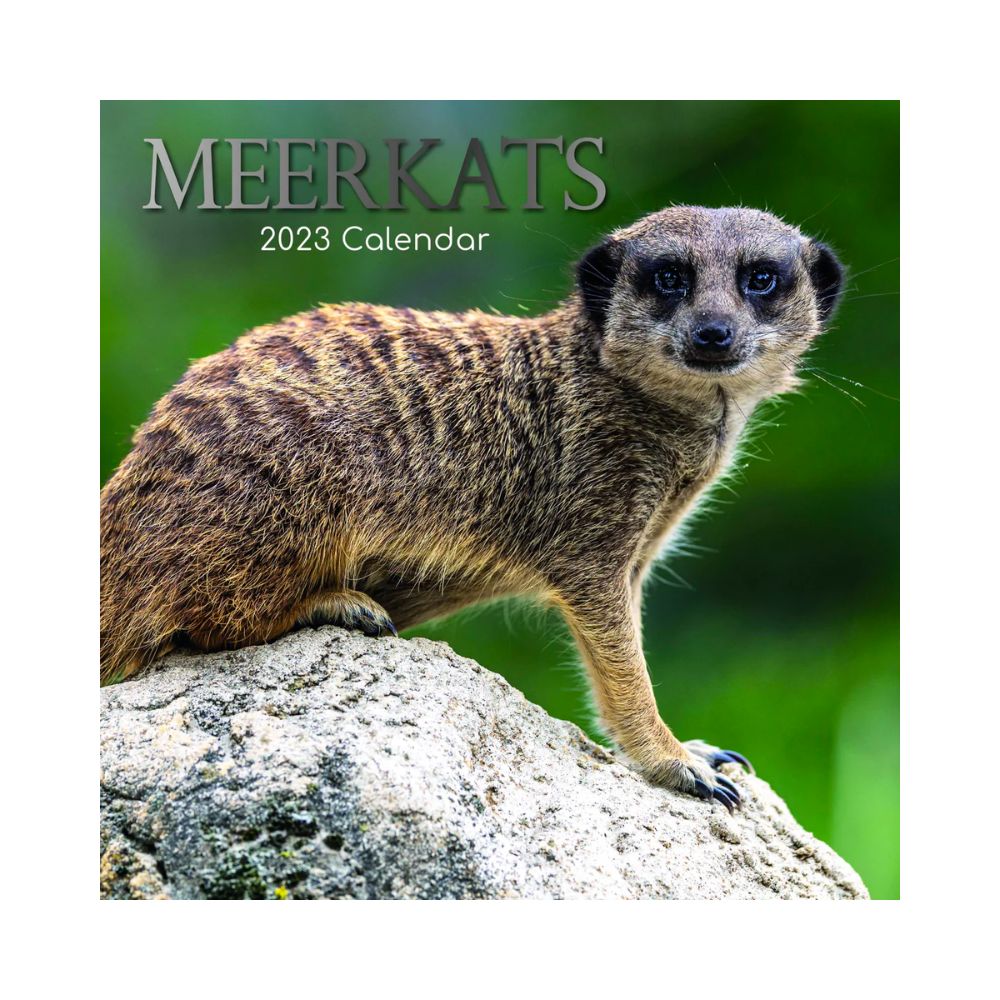 2023 Square Wall Calendar - Animals