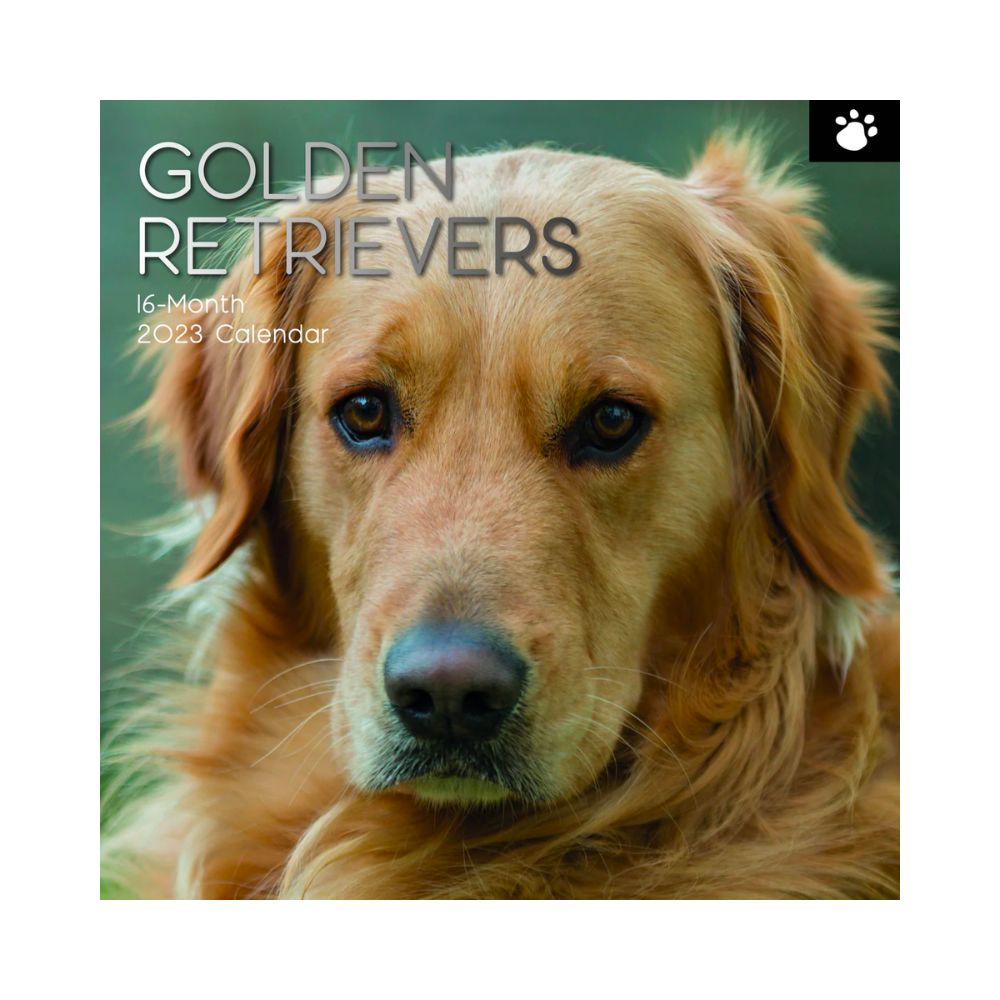 2023 Square Wall Calendar - Animals