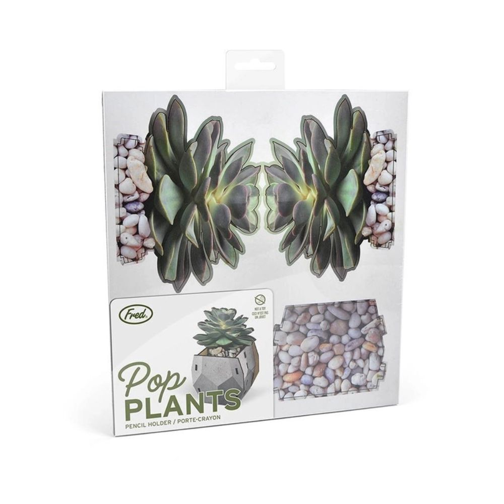 Fred Pop Plants Pencil Holder - Echeveria