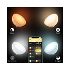 Philips Hue Go White and Colour Portable Bluetooth Light