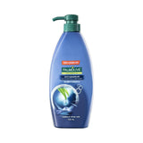Palmolive Naturals Anti Dandruff 2-in-1 Hair Shampoo and Conditioner - Tea Tree & Eucalyptus - 700mL