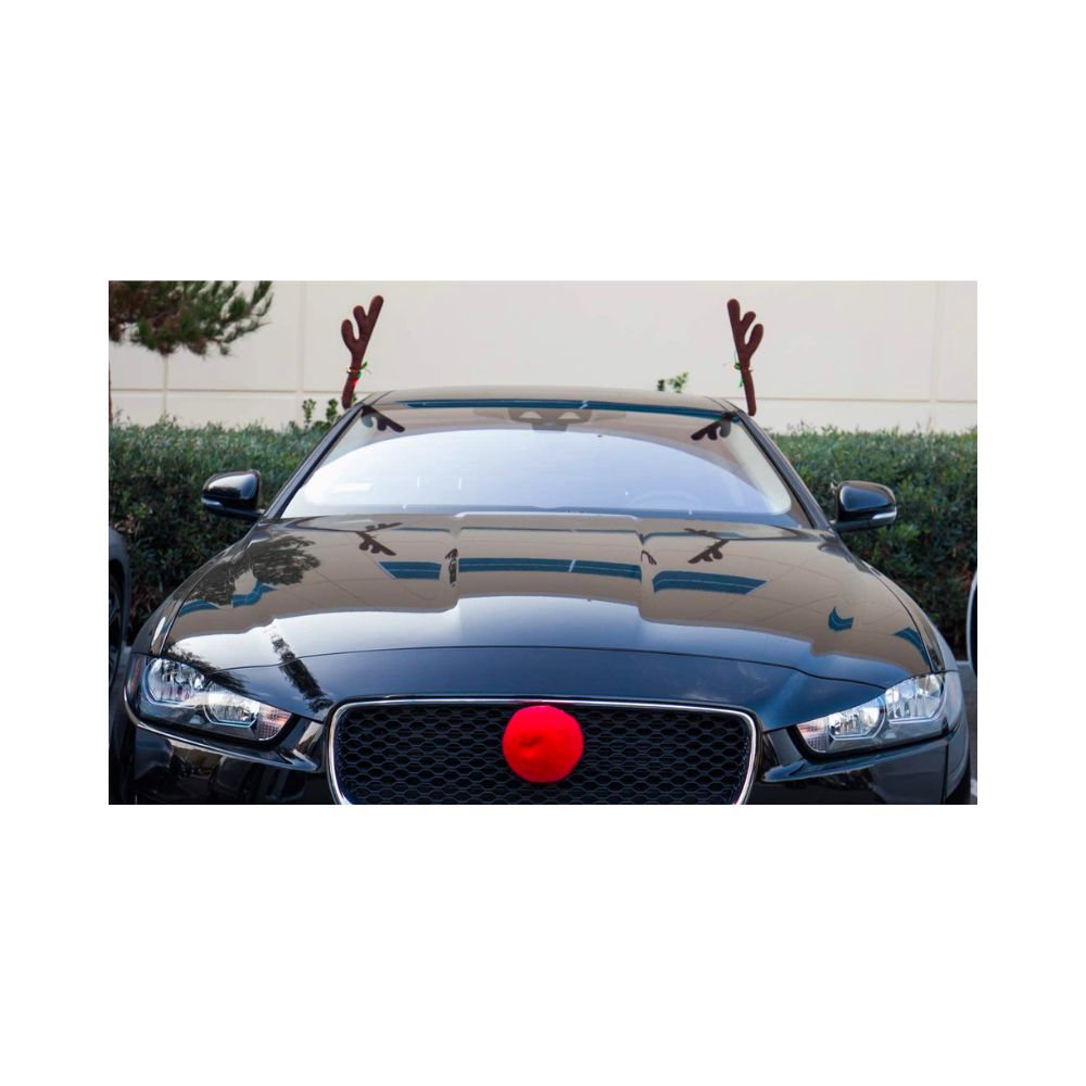 Reindeer Car Antlers
