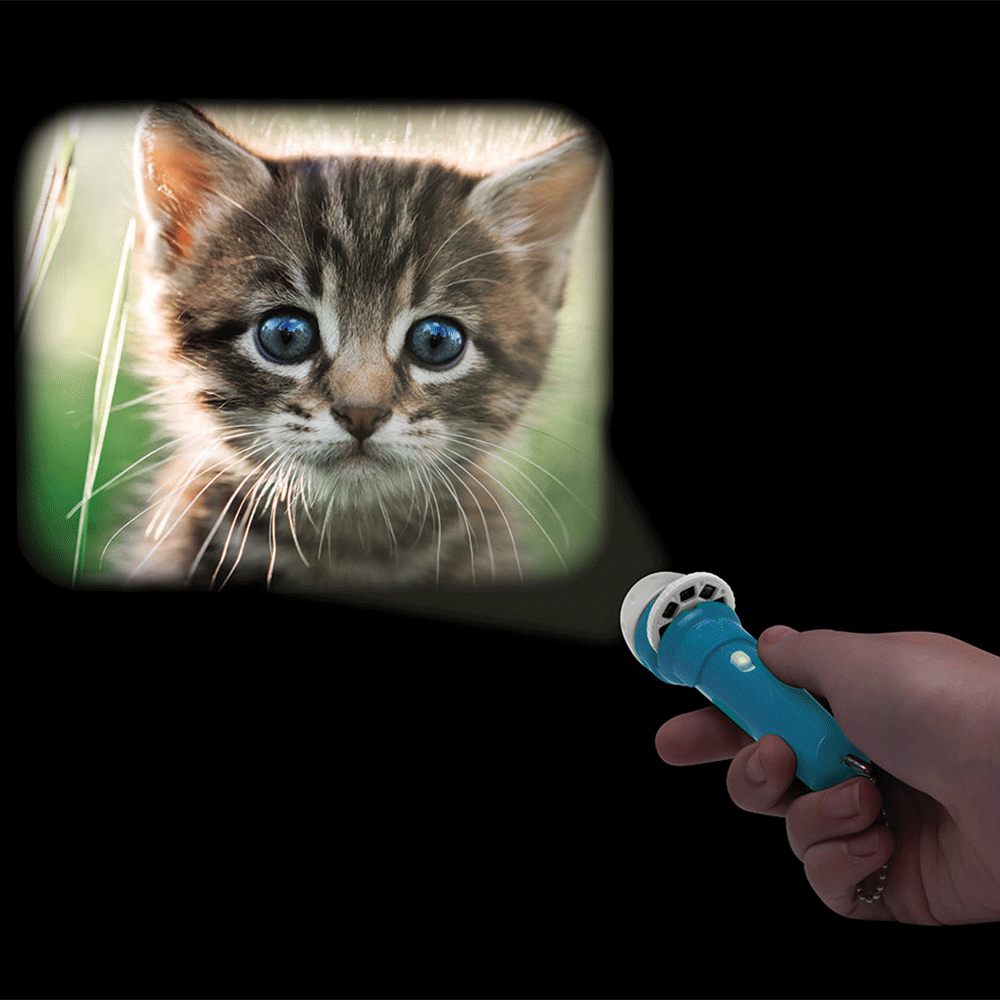 Torch Projector - Cats