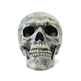 Rotting Skull Halloween Prop