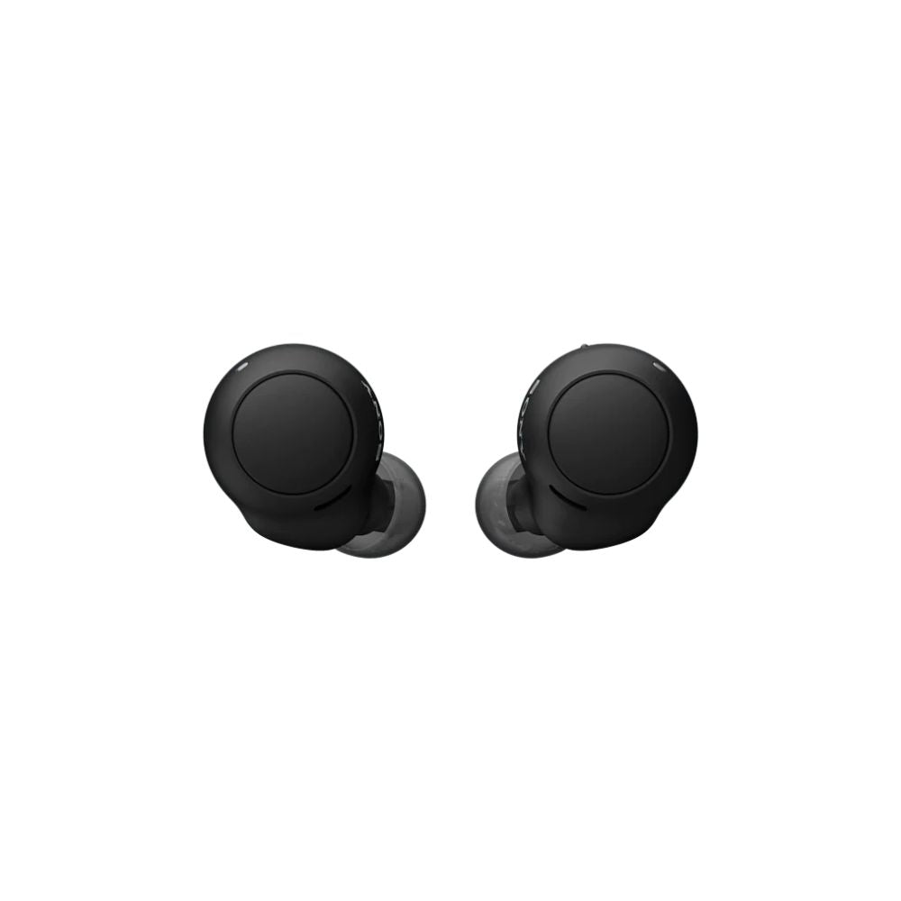 Sony True Wireless Headphones - Black (WF-C500)