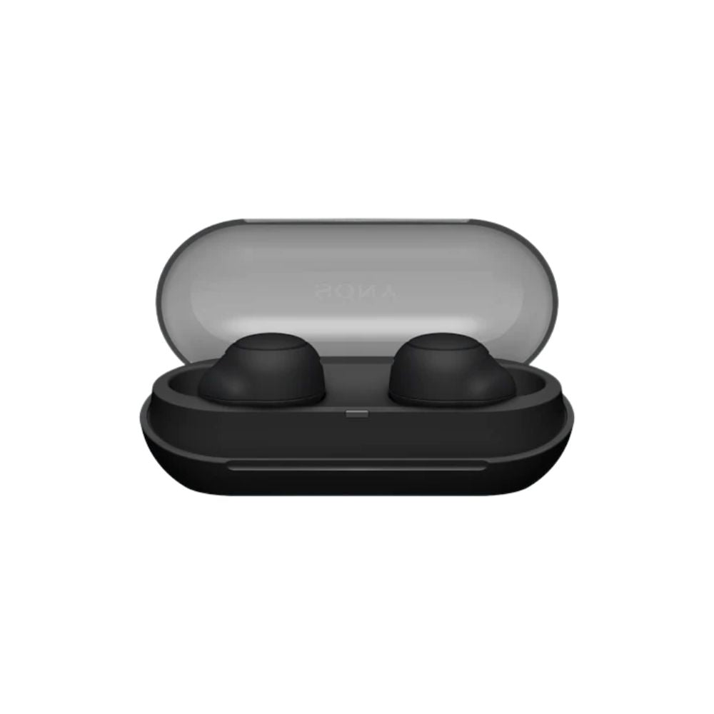 Sony True Wireless Headphones - Black (WF-C500)