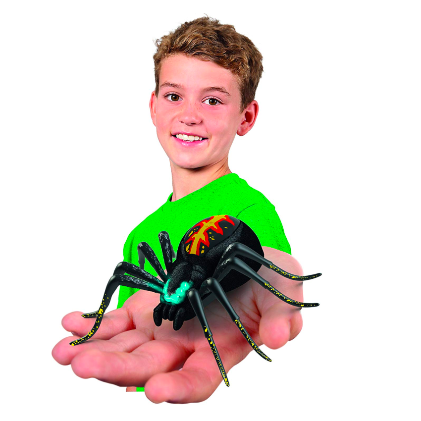 Wild Pets Spider Habitat