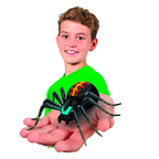 Wild Pets Spider Habitat