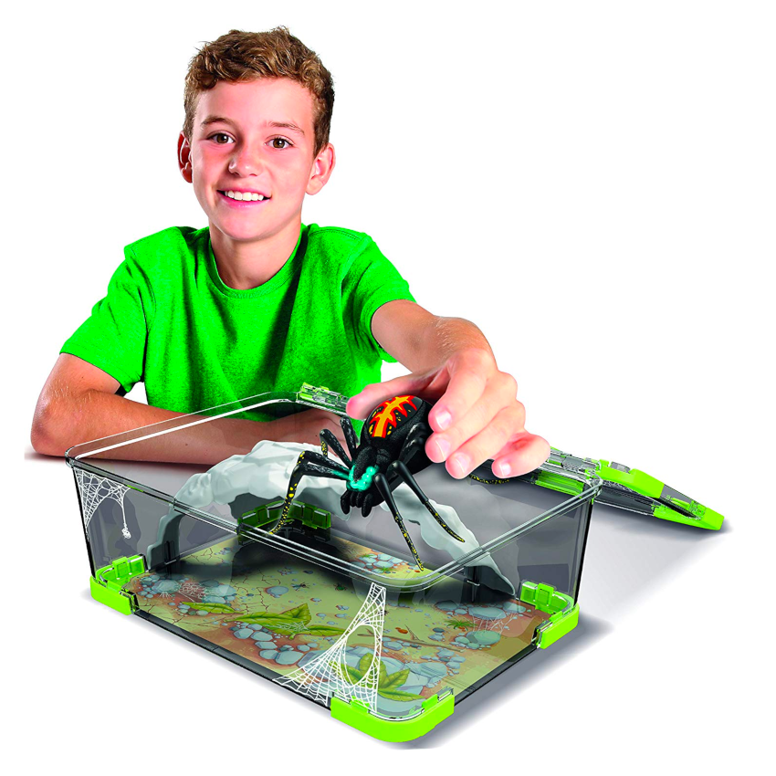 Wild Pets Spider Habitat