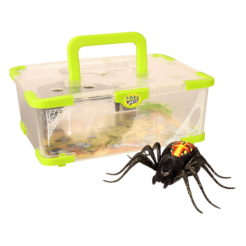 Wild Pets Spider Habitat
