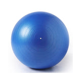 Zen Flex Fitness Training Yoga Ball - Assorted Sizes