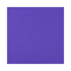 Zen Flex Fitness Exercise and Yoga Mat - Purple - 183x61x1cm